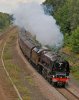 DSC_3273_edited-1.jpg