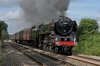 DSC_3330_edited-2.jpg