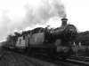 6619 (Small).jpg
