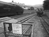 DSCF9193[a]900.jpg