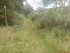 DSC00055.jpg