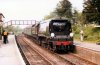 34105.jpg