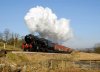 v. LOW RES 907732008-02-16.JPG