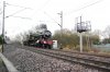 DSC_0196.jpg