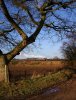 DSC02218.JPG