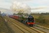 46115_FEB0154.jpg