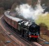 DSC_7450_small.jpg