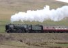 70013 Abingtonwpr.jpg
