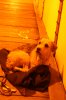 DSC06909.JPG