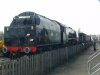 DSC00270.JPG