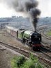 60163chester (2).jpg