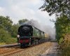 34067 Tangmere 10x8 at Hele 210908 IMGP3398.jpg