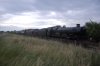DSC_0174.JPG
