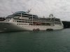 Torbay 026.JPG