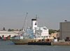 IMG_8581.JPG
