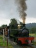 Chevalier brews up at Cwm Lane.JPG
