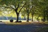 Dsc03658a.jpg