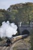 Twerton.jpg