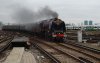 DSC05606.JPG