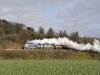 no7-nsl-small.jpg