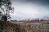 MWT_7620_PS_LR.jpg