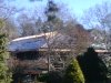 IMG22495.jpg