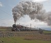 DSC_1644.jpg