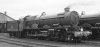 6023 B&W.jpg