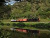 9017_dartington_220411.jpg