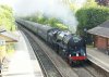 DSC03961a.jpg
