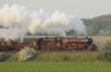 6201 attacking gamston bank 1.JPG