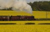 6201 attacking gamston bank 2.JPG