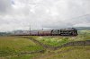 DSC_2804 a.jpg