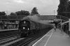 34067_300611_3f.jpg