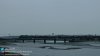 Flickr 61306.177.jpg