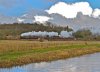 61306Shalford14022015.jpg