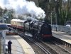 DSC_0018a.JPG