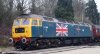 bluebell 004-crop.jpg