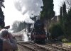 DSC09486.JPG