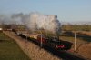 45690 - Shap.jpg