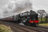 DSC_13821.jpg