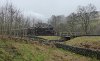 P1010014.jpg