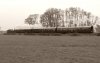 M7_Rolvenden_small.jpg