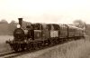 Terrier_Rolvenden_Sepia_small.jpg