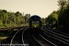 _DSR15201_DxO_01.JPG