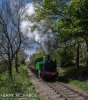 DSC_6022HR-0.jpg