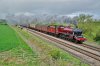 DSC_0460.JPG