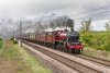 DSC_0725.jpg