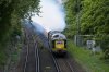 1 2015-5-16 Deltic at Addison Gardens 3b.jpg