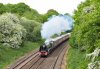 IMG_1008 46233 Hatton  23 05 2015.jpg